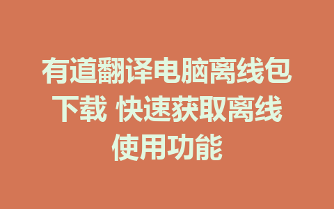 有道翻译电脑离线包下载 快速获取离线使用功能