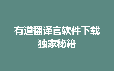 有道翻译官软件下载独家秘籍